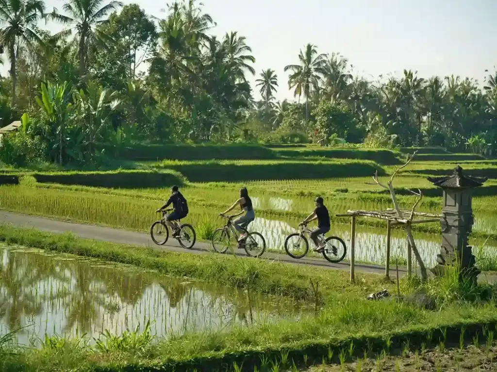 Nandini Jungle By Hanging Gardens 20, Bali
