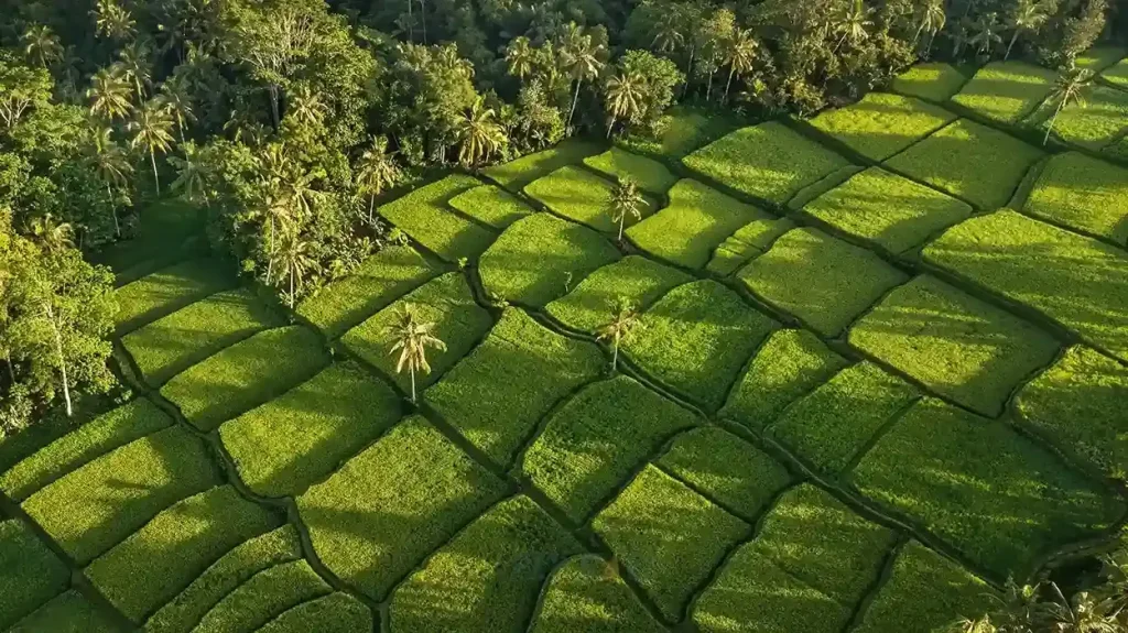 Ubud Helii, Bali
